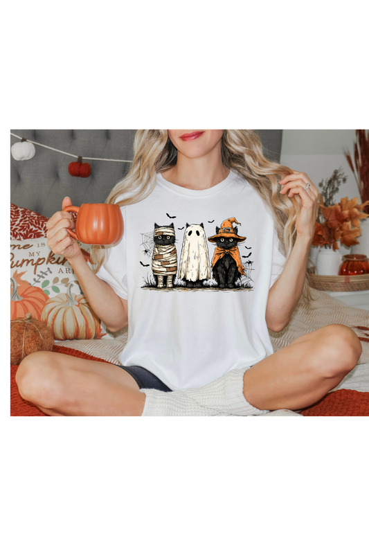 CAT HALLOWEEN