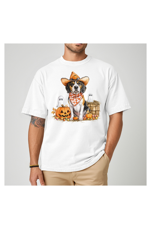 BEAGLE & HAYSTACK
