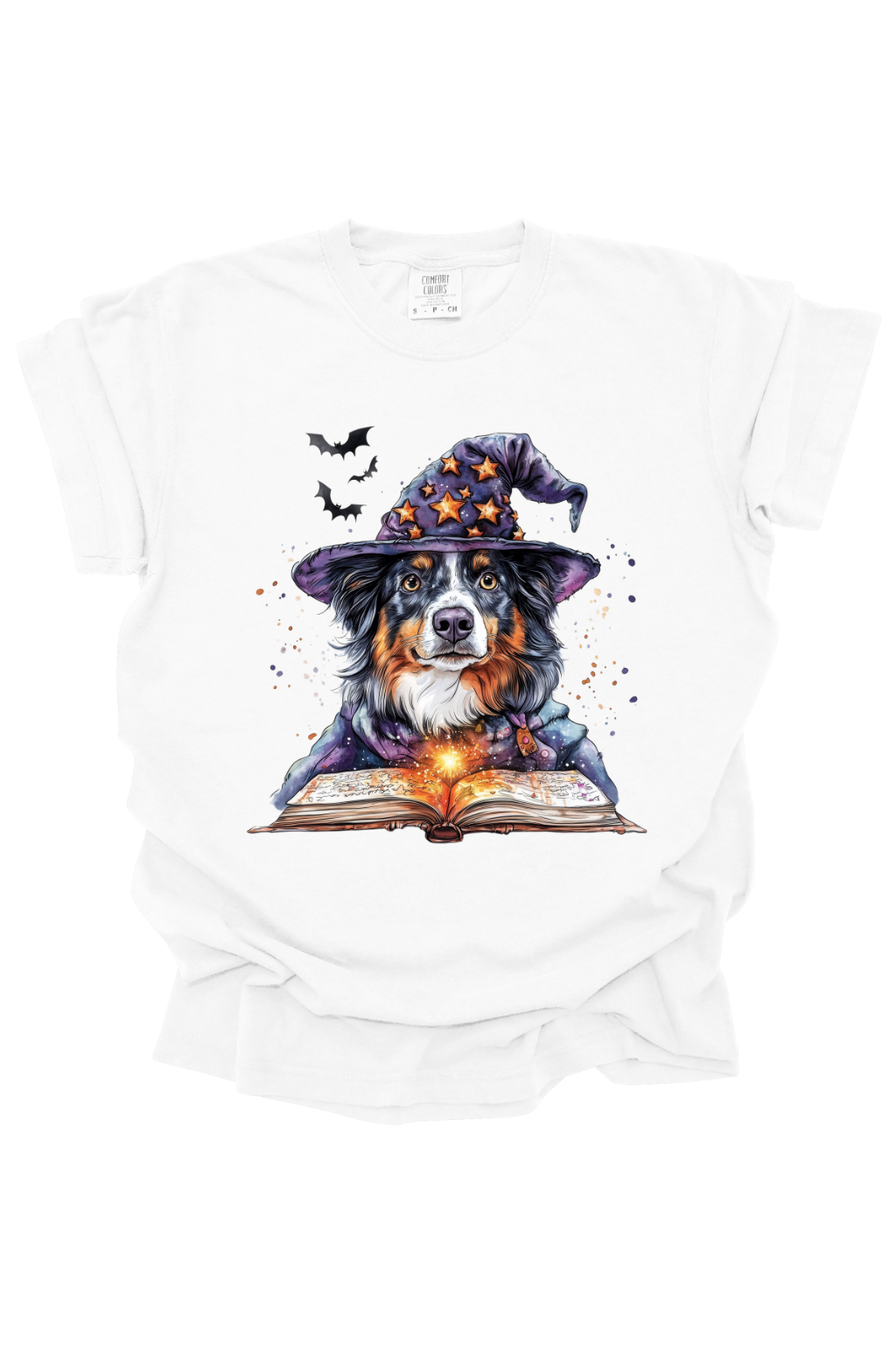 BORDER COLLIE HALLOWEEN