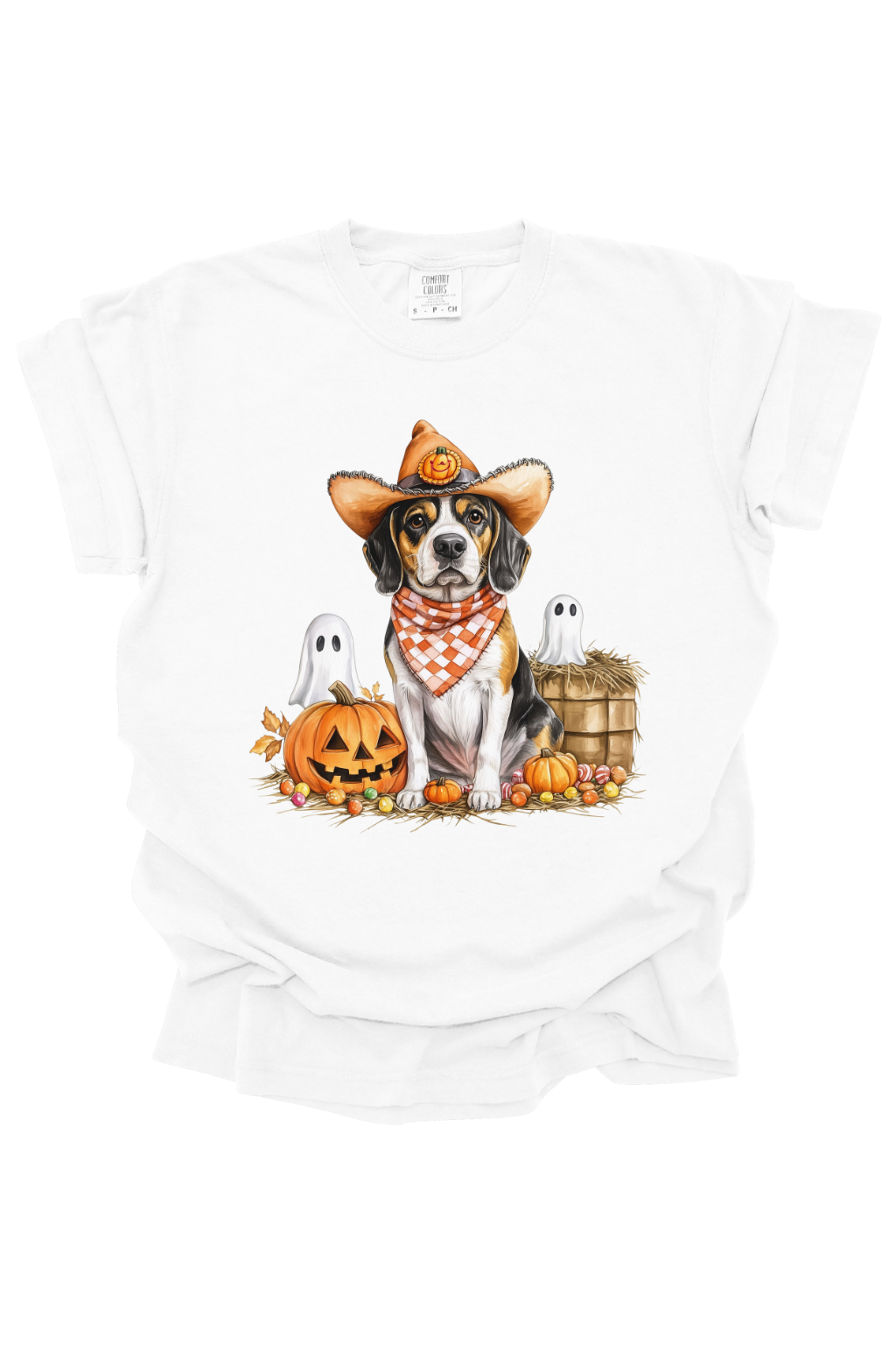 BEAGLE & HAYSTACK