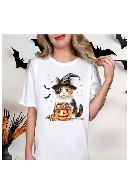 CAT HALLOWEEN