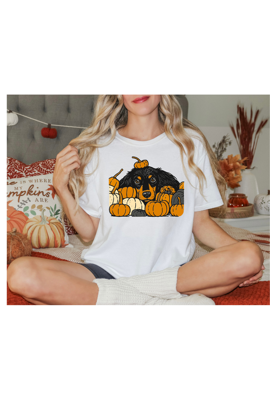 RETRO DACHSHUND WITH PUMKPINS