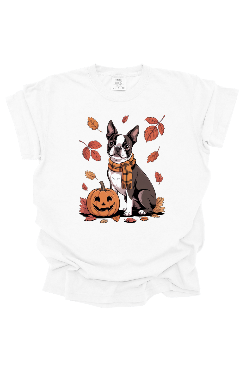 FALL BOSTON TERRIER