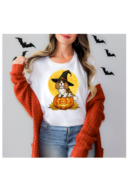 CAVALIER HALLOWEEN