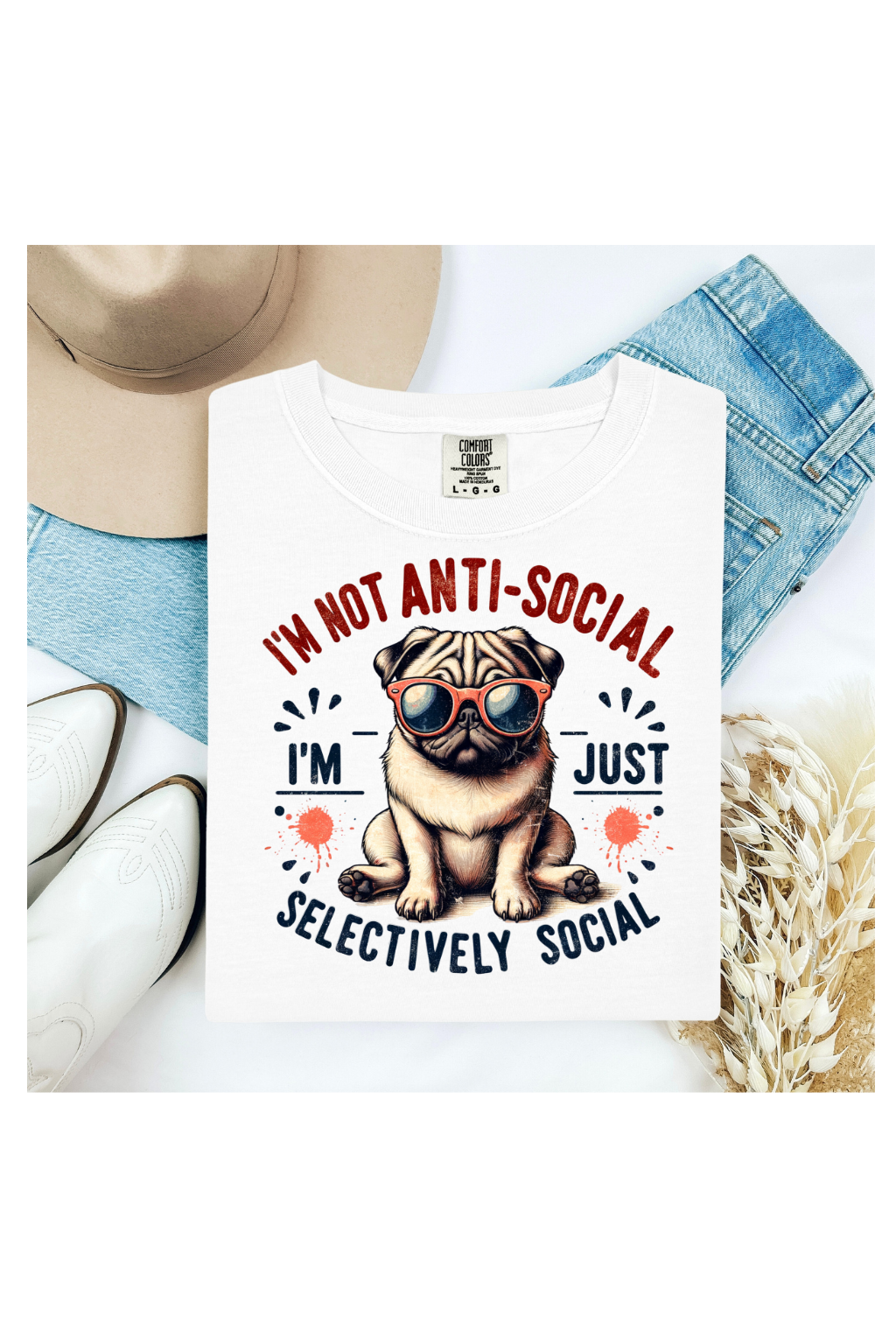 NOT ANI-SOCIAL PUG