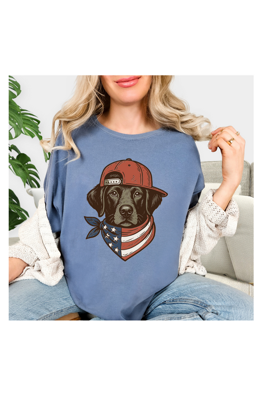 PARIOTIC LABRADOR