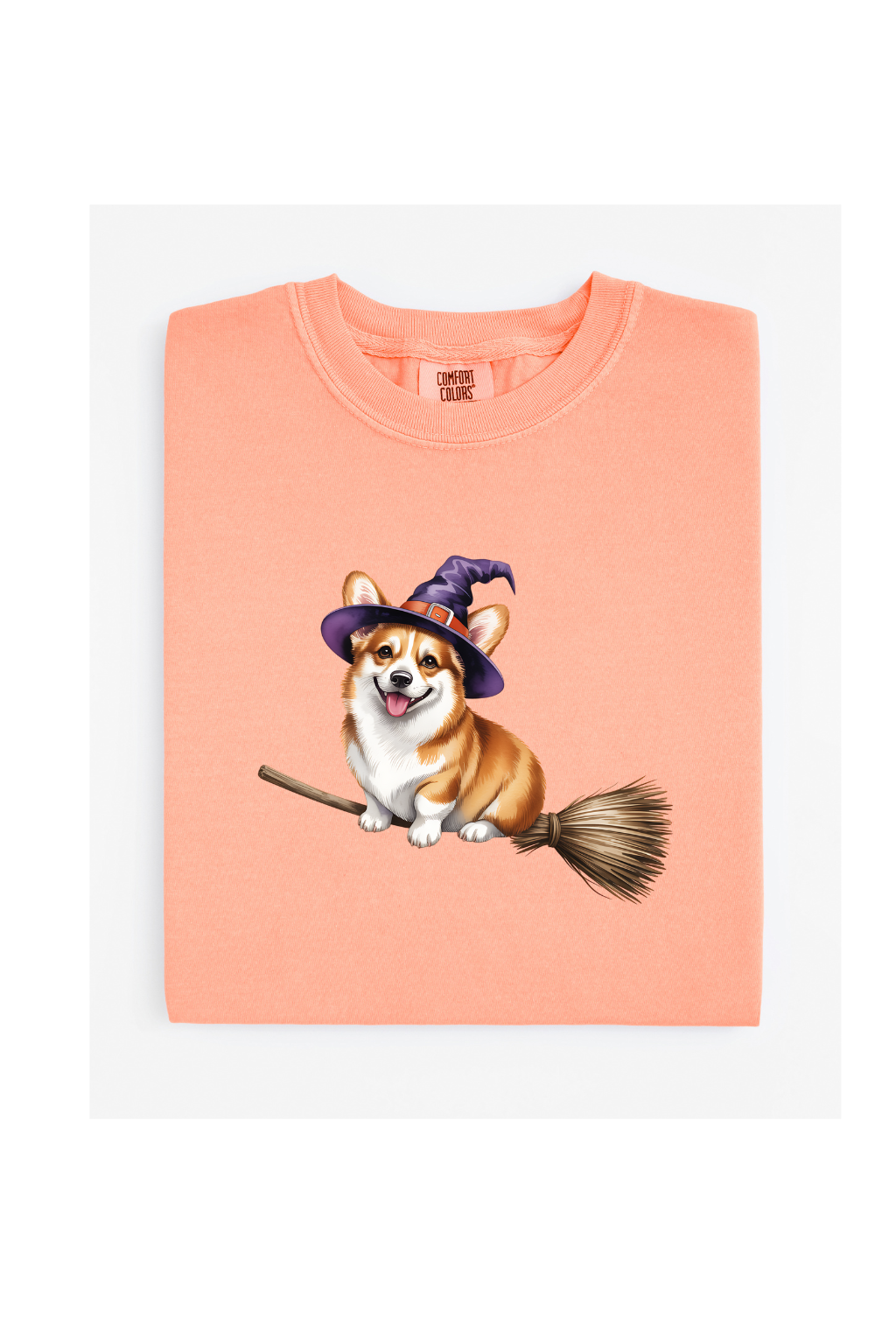 CORGI RIDING BROOM HALLOWEEN