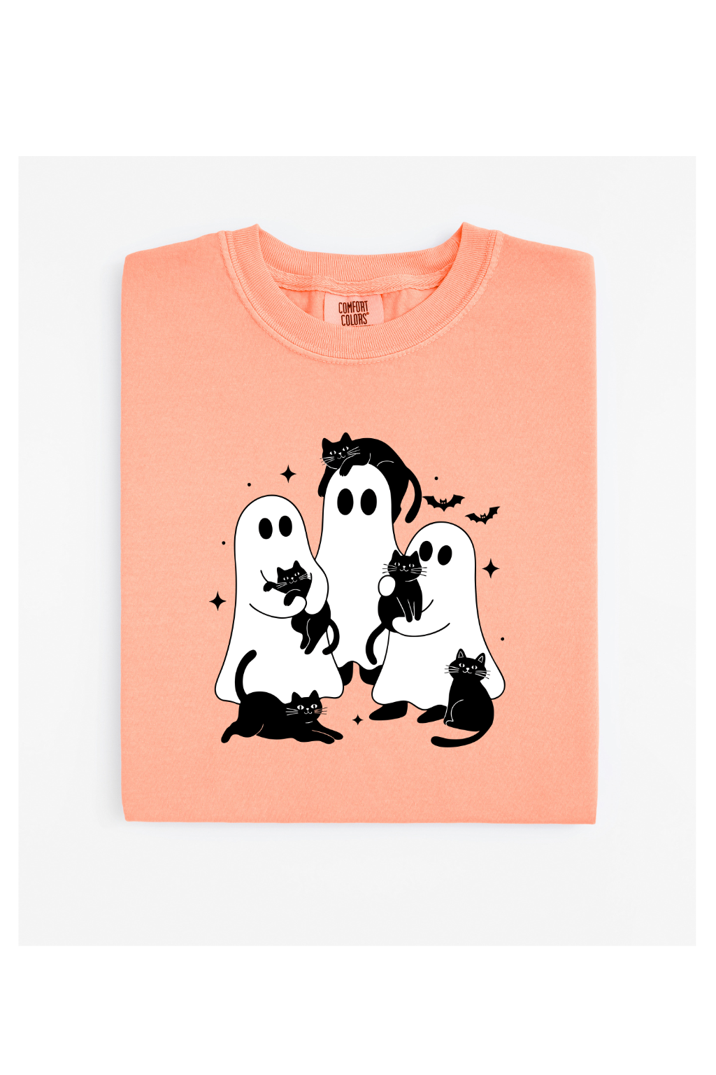 CATS AND GHOST