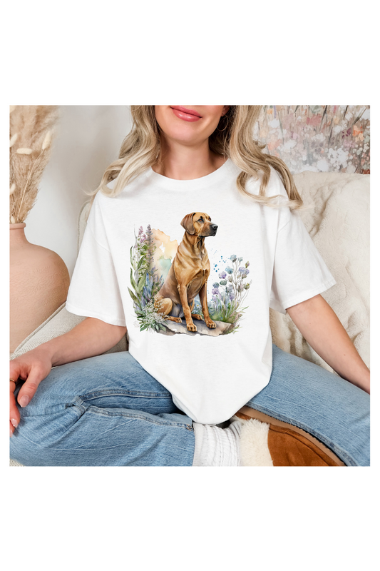 BEAUTIFUL RHODESIAN RIDGEBACK