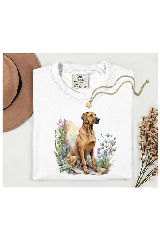 BEAUTIFUL RHODESIAN RIDGEBACK