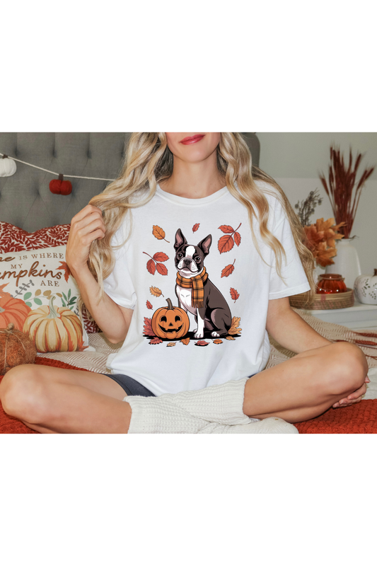 FALL BOSTON TERRIER