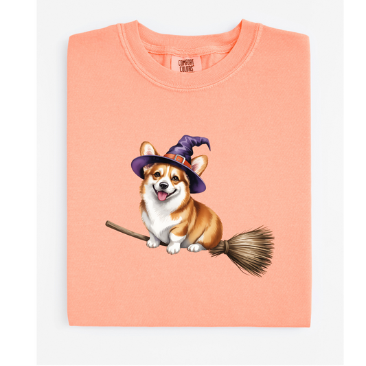 CORGI RIDING BROOM HALLOWEEN