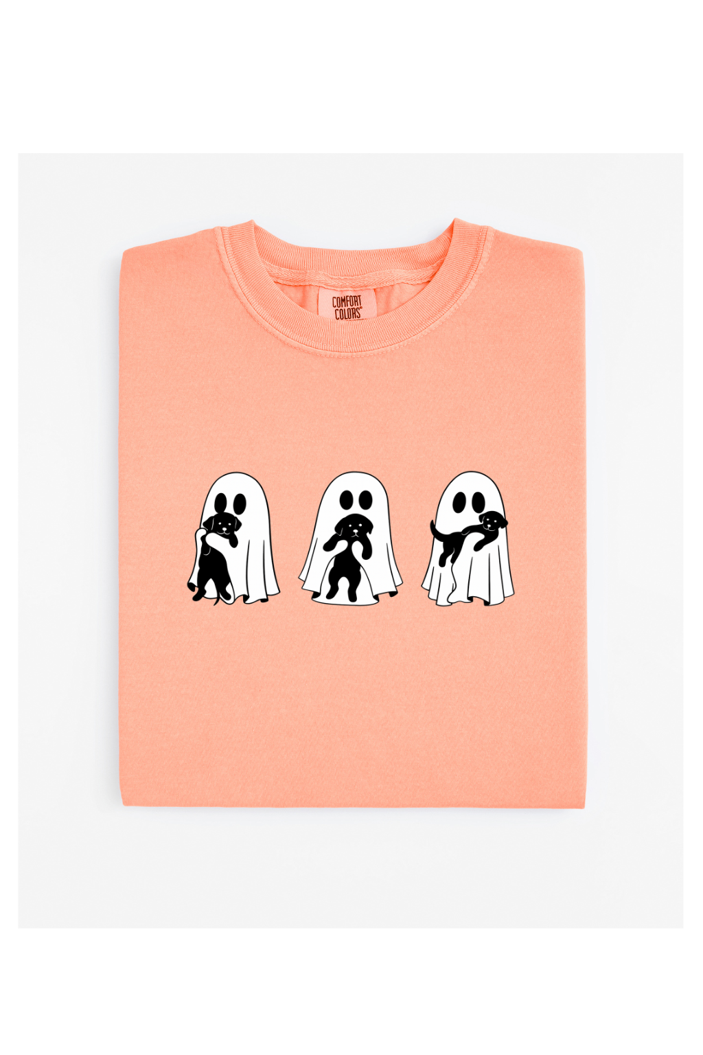GHOST HOLDING DOG