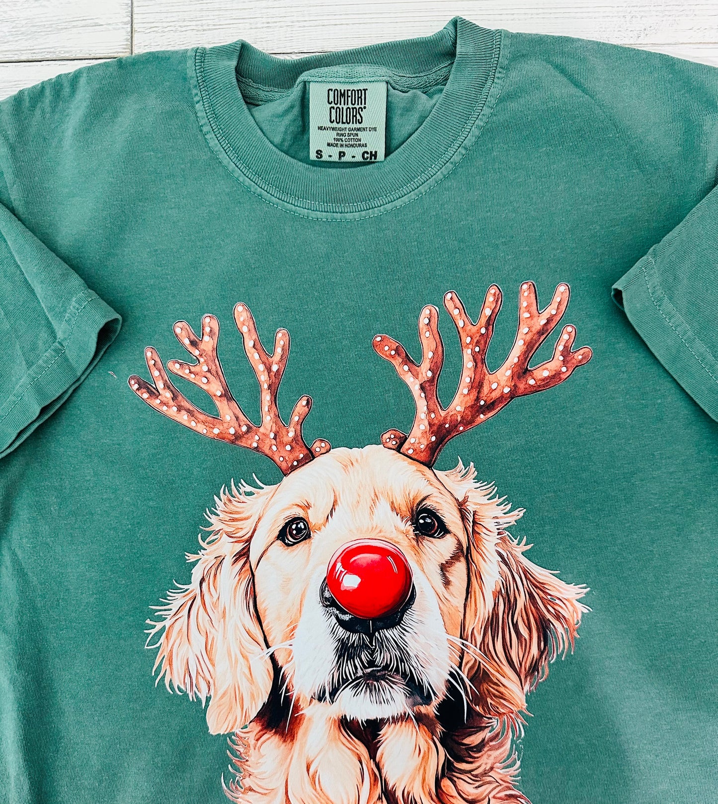 GOLDEN RETRIEVER RED NOSE GREEN