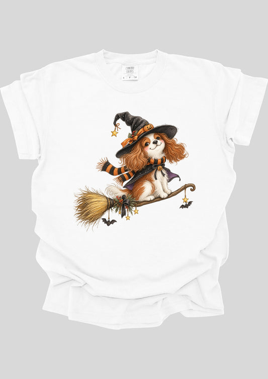 WHIMSICAL CAVALIER ON BROOM