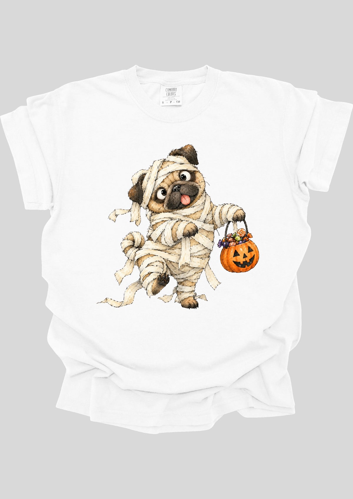 WHIMSICAL MUMMY PUG