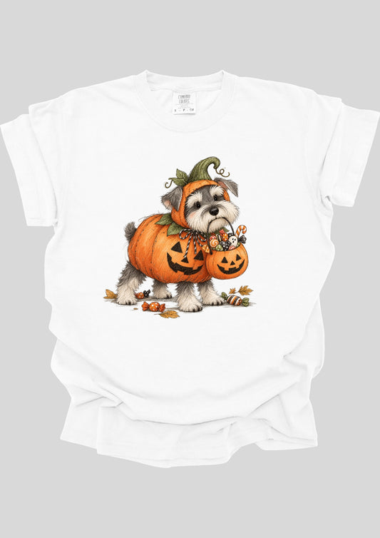 WHIMSICAL PUMPKIN SHIH TZU