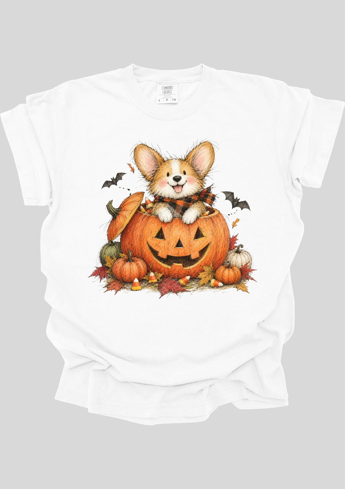 WHIMSICAL CORGI IN PUMPKIN