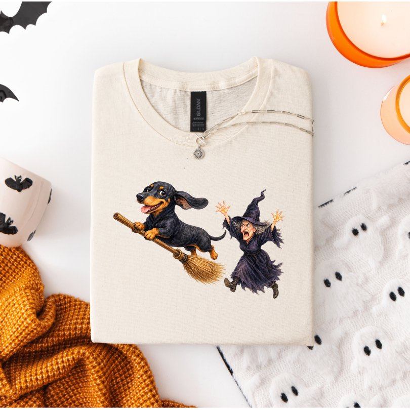 DACHSHUND STEALING WITCHES BROOM