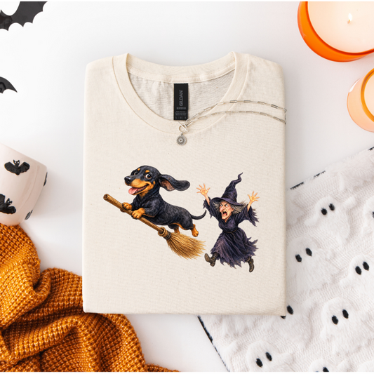 DACHSHUND STEALING WITCHES BROOM