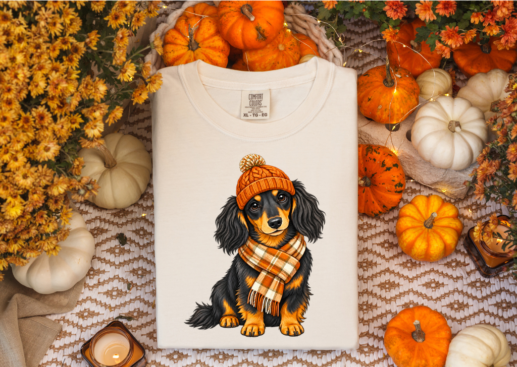 DACHSHUND IN SCARF FALL SHIRT