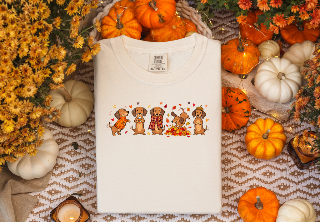 DACHSHUND  ALL ABOUT FALL