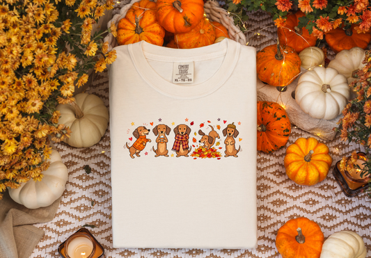 DACHSHUND  ALL ABOUT FALL