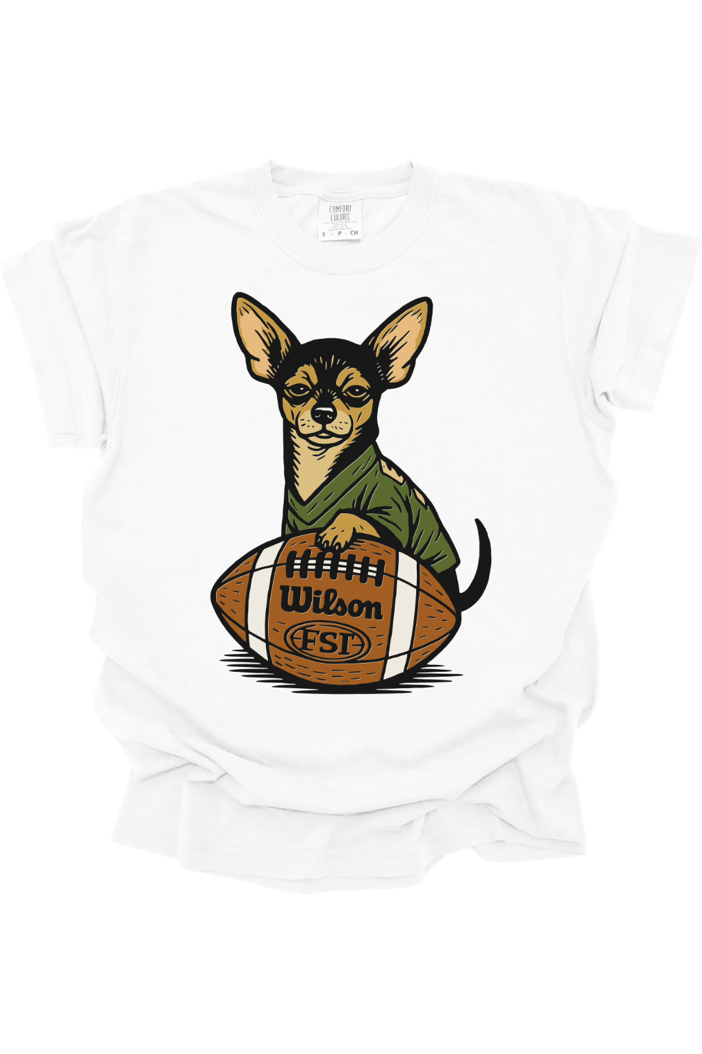 CHIHUAHUA IN JERSEY