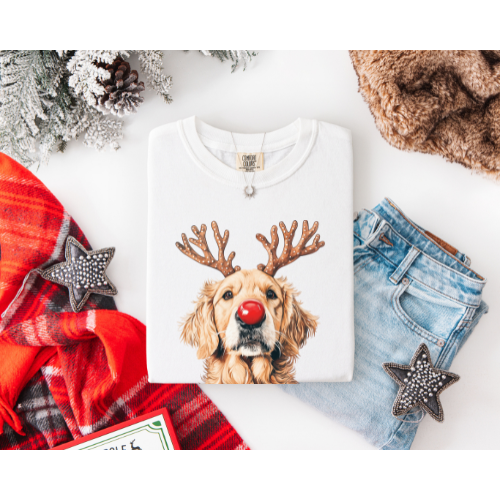 GOLDEN RETRIEVER RED NOSE