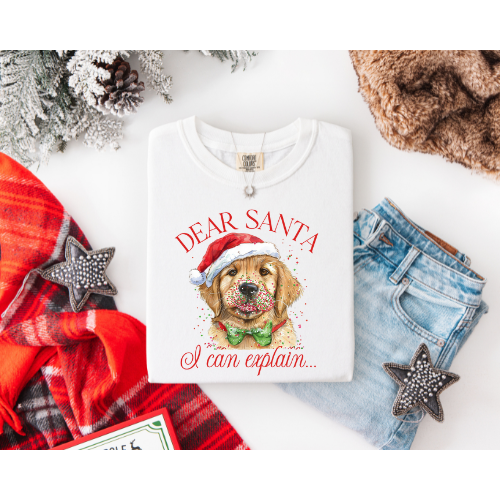GOLDEN RETRIEVER SANTA I CAN EXPLAIN..